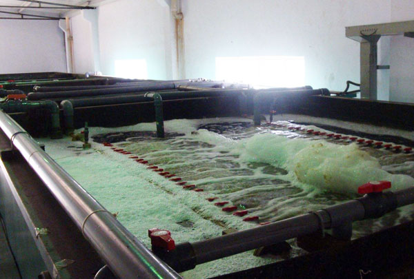 屠宰污水處理設備