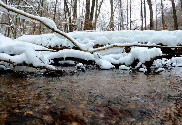 山上的雪水如何凈化處理達到生活飲水的指標要求？