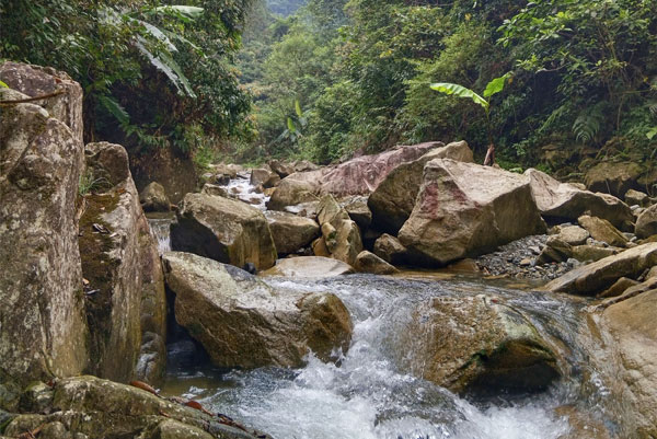山泉水如何處理才能變成飲用水?