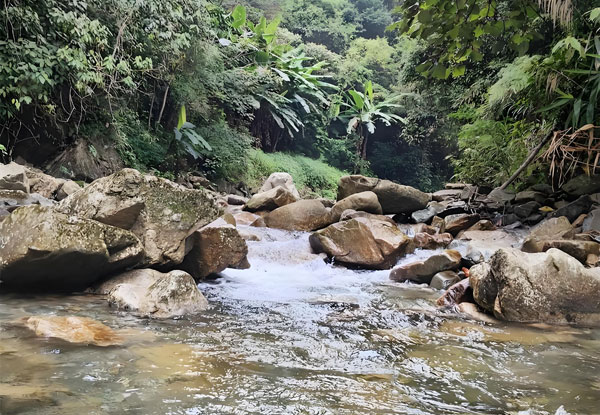 下雨河水渾濁有泥沙用于農(nóng)村供水怎么處理？