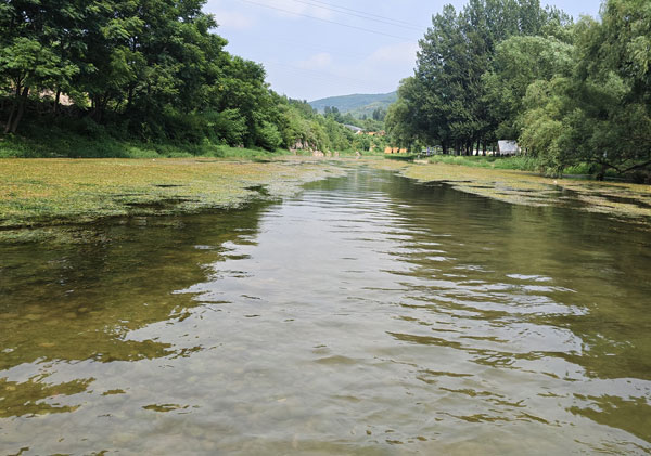 河水處理成工廠生產(chǎn)用水該用什么凈化方法？