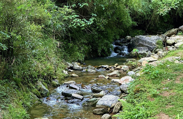 山區(qū)溪流水濁度細菌超標怎么處理成飲用水