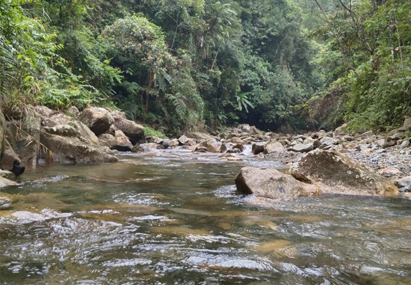 山泉水下雨泥沙多如何處理成自來水