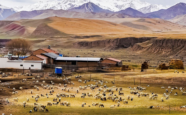 牧區(qū)飲水提升水