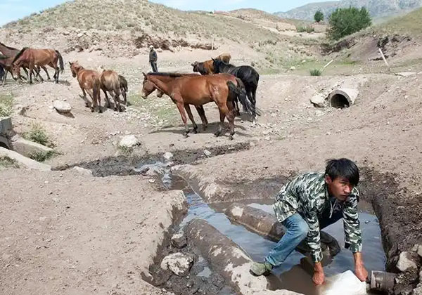 西藏阿里地區(qū)人畜飲水項(xiàng)目用什么處理工藝？
