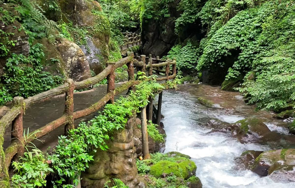 鄉(xiāng)鎮(zhèn)溪流水下雨水渾濁
